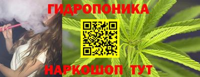 гашик Канаш