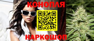 дмт Камышлов