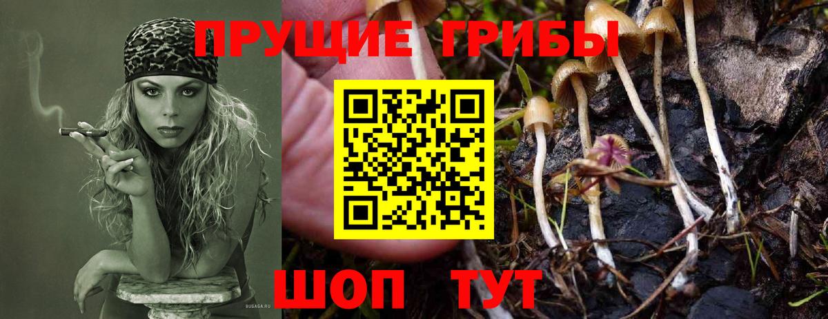 Псилоцибиновые грибы MAGIC MUSHROOMS Краснокаменск